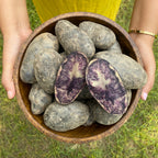Potato (Black)