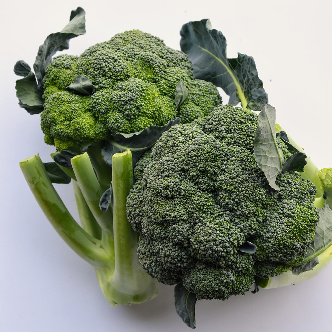 Broccoli