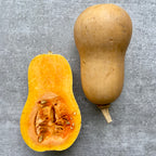 Butternut Squash