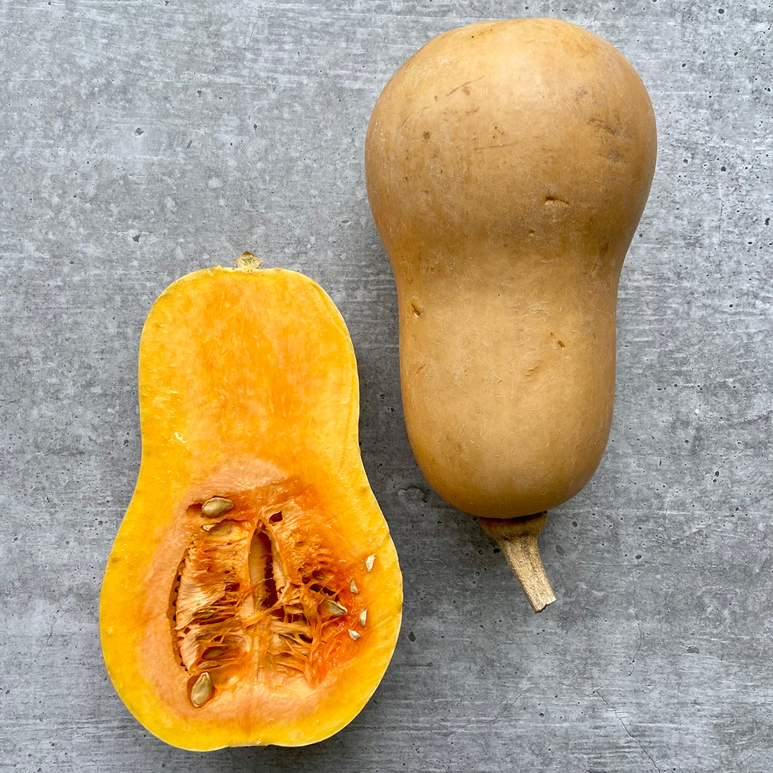 Butternut Squash
