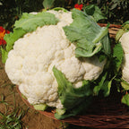 Cauliflower
