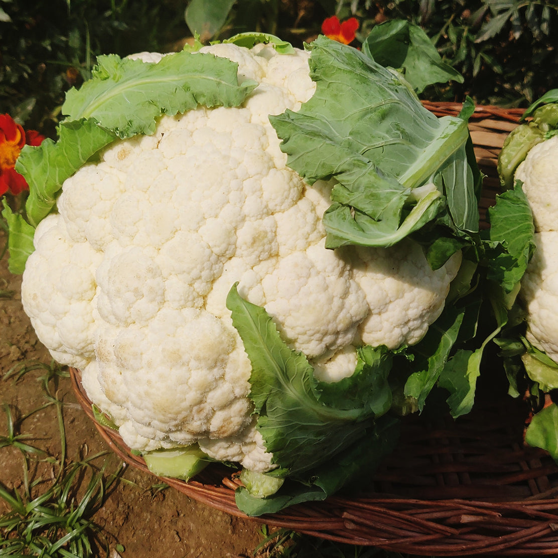 Cauliflower