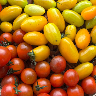 Cherry Tomato (Mix)