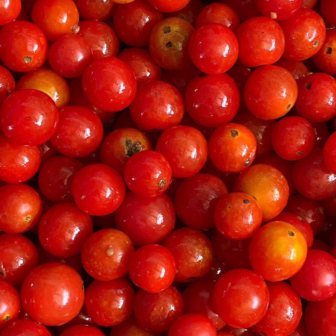 Cherry Tomato (Red)