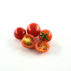 Cherry Tomato (Red)