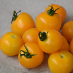Cherry Tomato (Yellow)