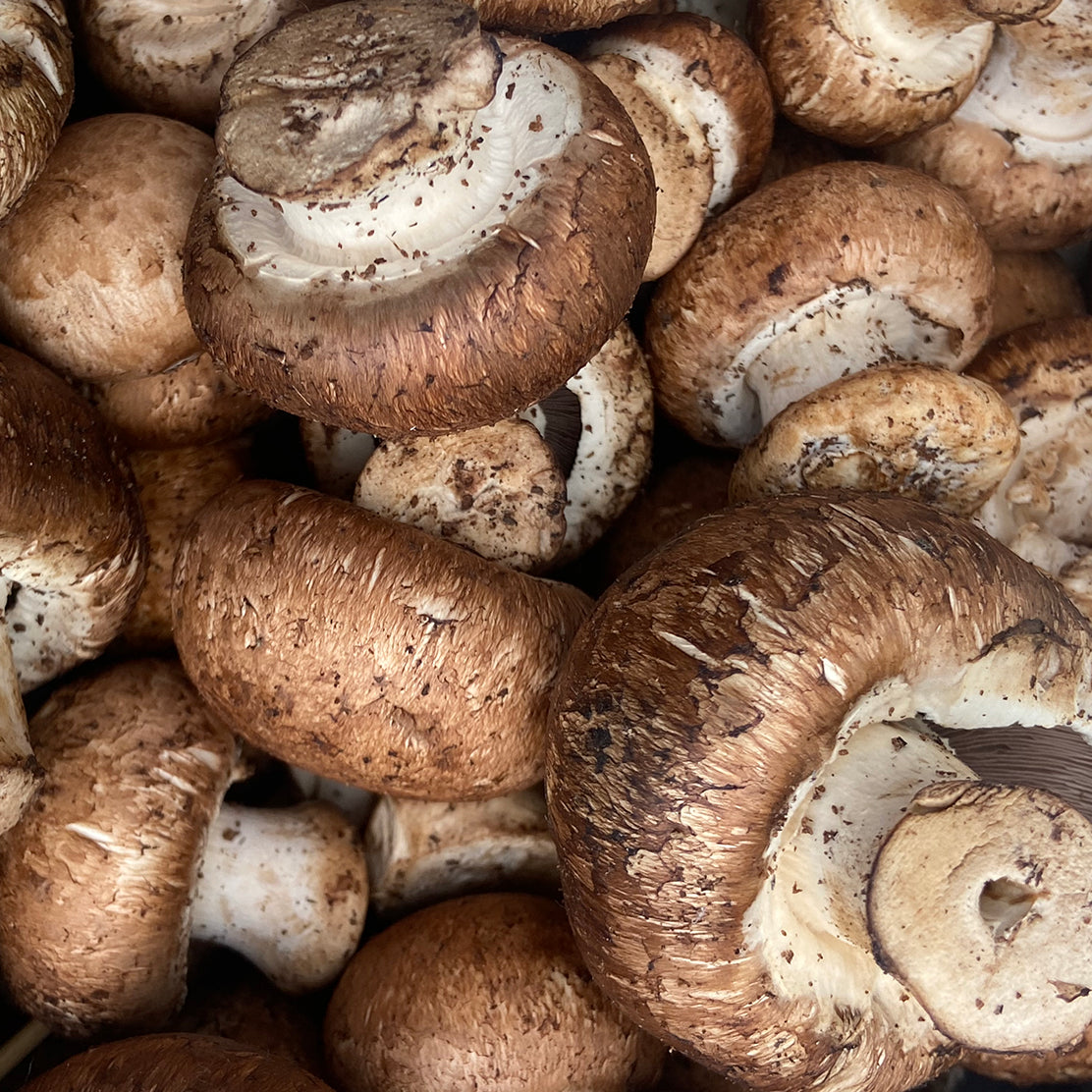 Cremini Mushroom