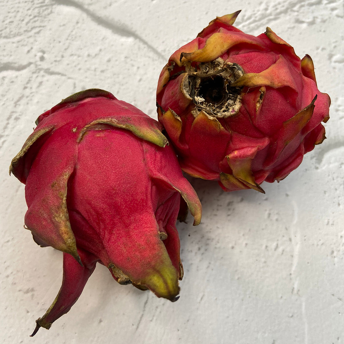 Dragon Fruit (White)