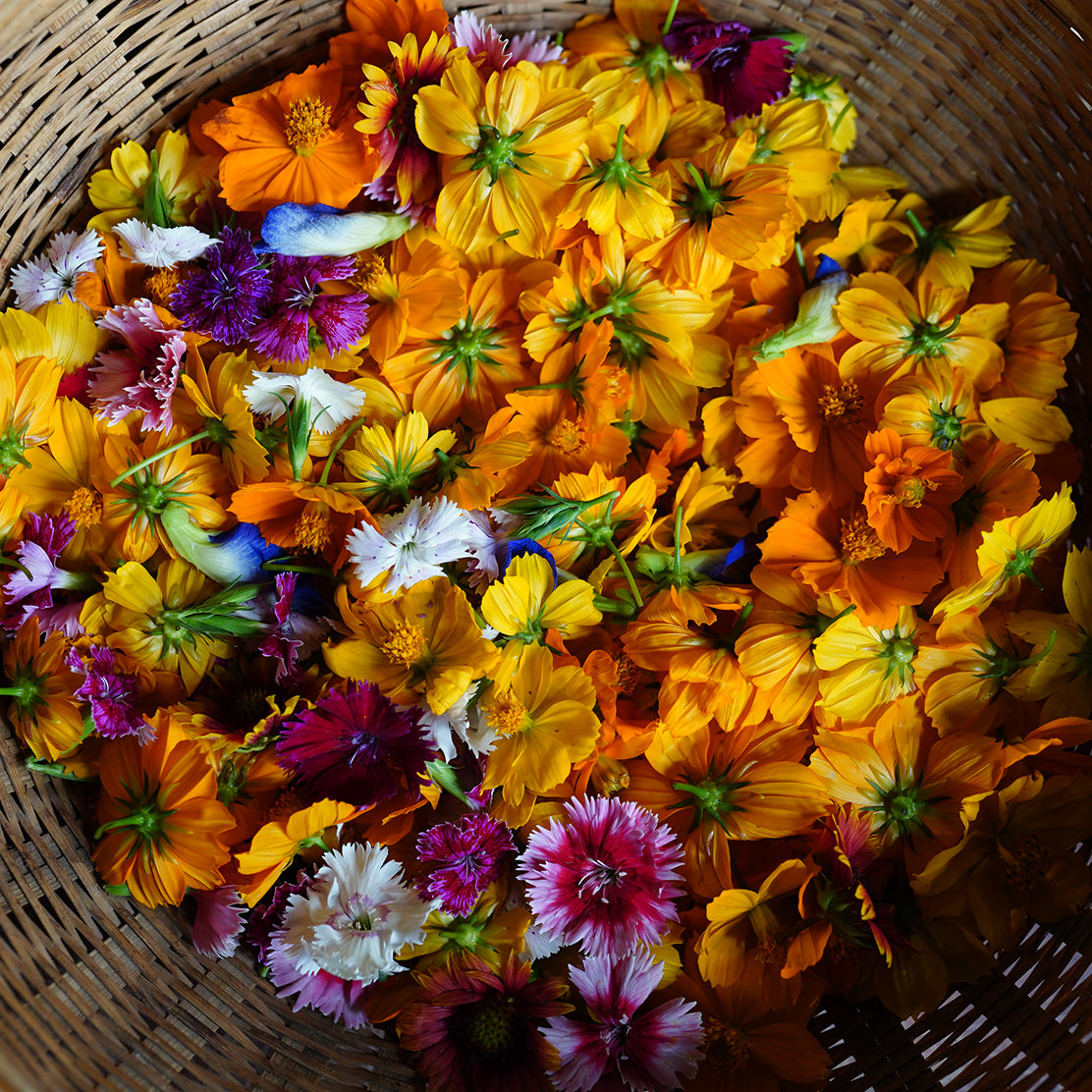 Edible Flower Mix