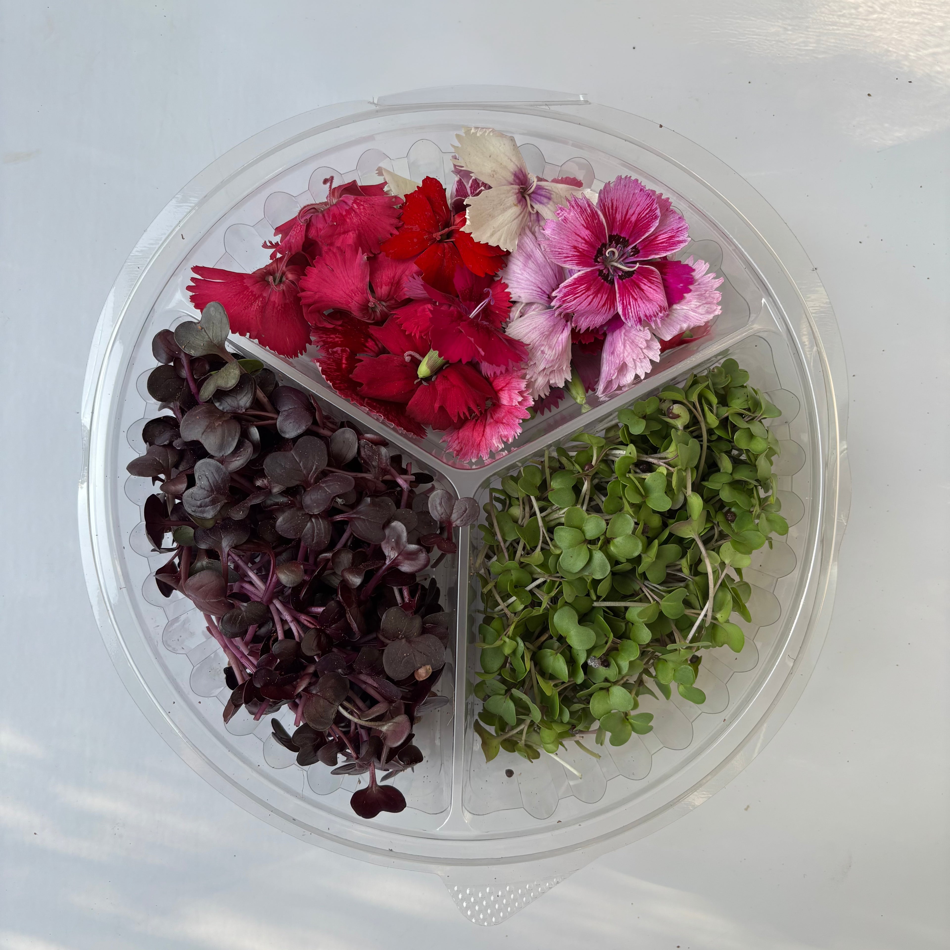 Garnish Box Mix