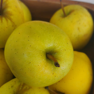 Apple (Golden Delicious)