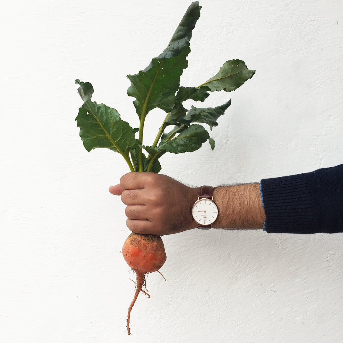 Golden Beetroot