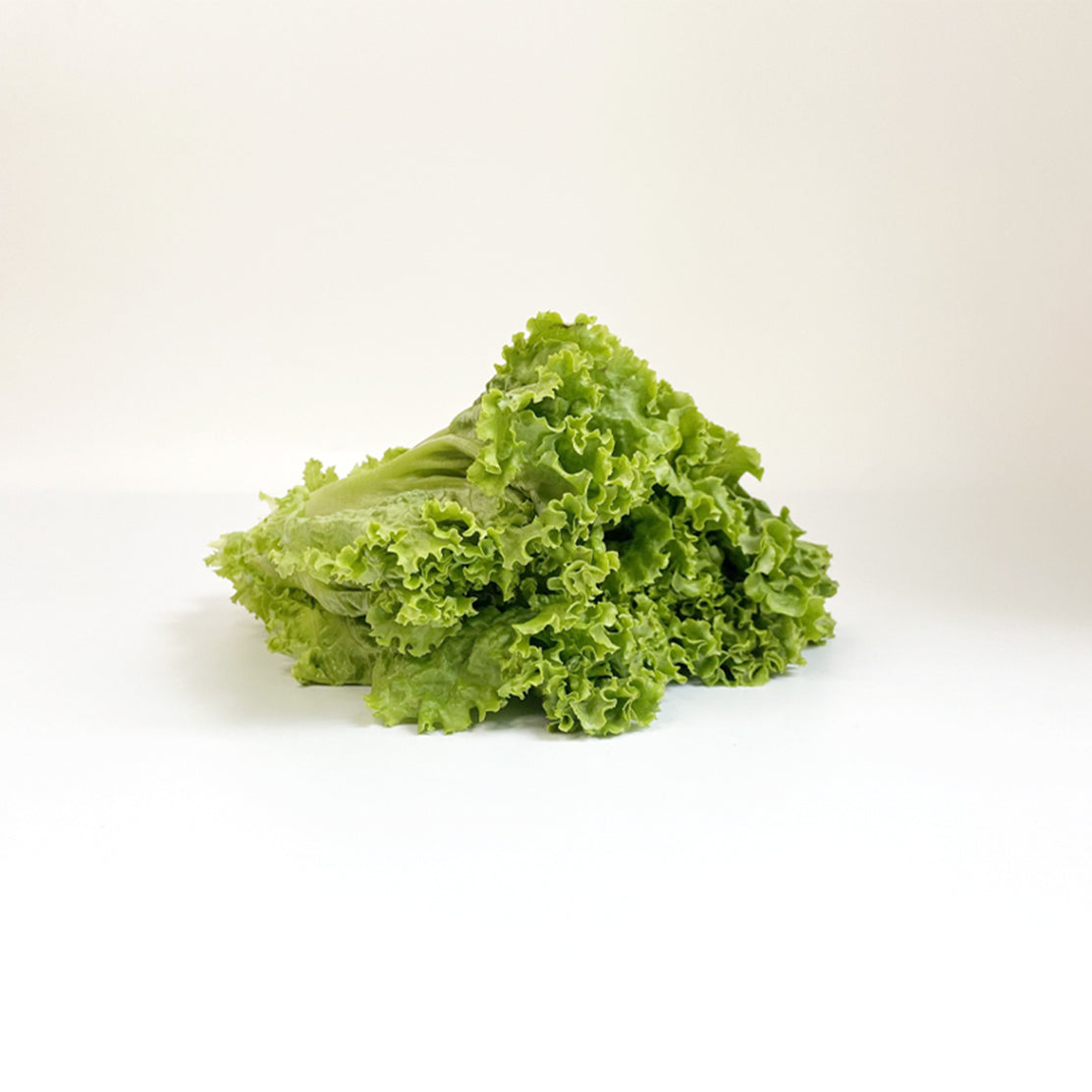 Lettuce (Green Leafy)