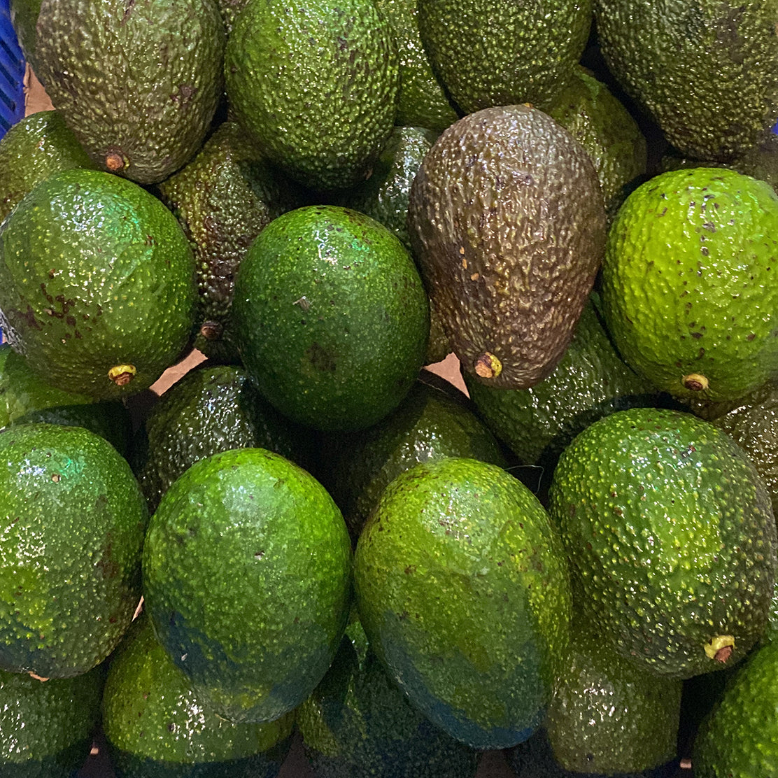 Hass Avocado (Unripe)