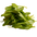 Spinach Malabar