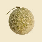 Honeydew Melon