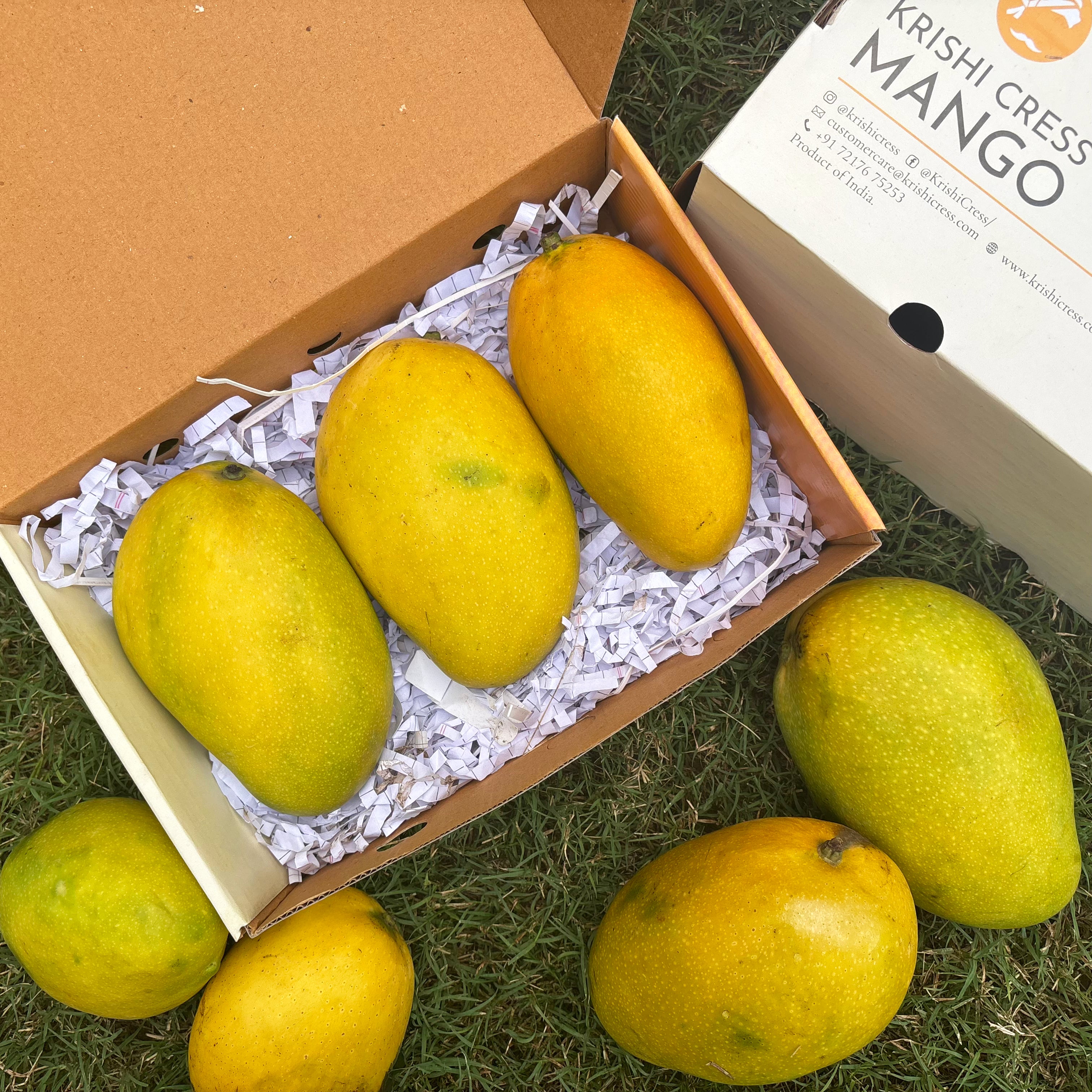 Mango (Imam Pasand)