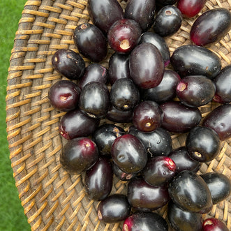 Jamun