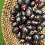 Jamun
