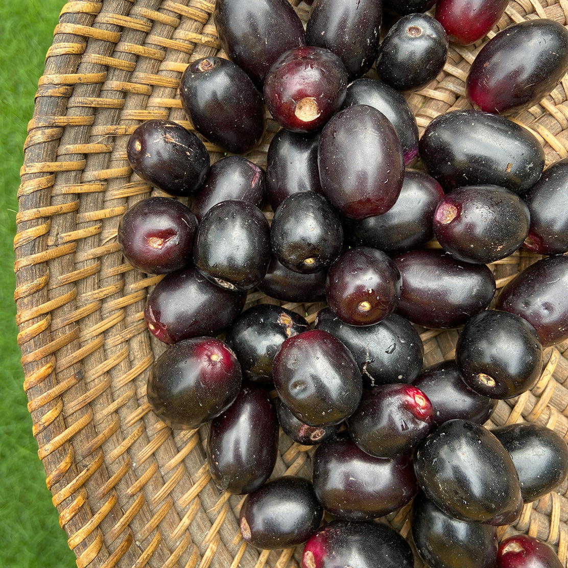 Jamun