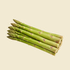 Indian Asparagus (Jumbo)