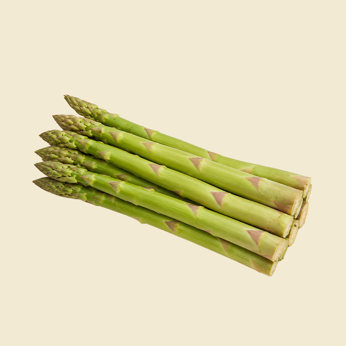 Indian Asparagus (Jumbo)