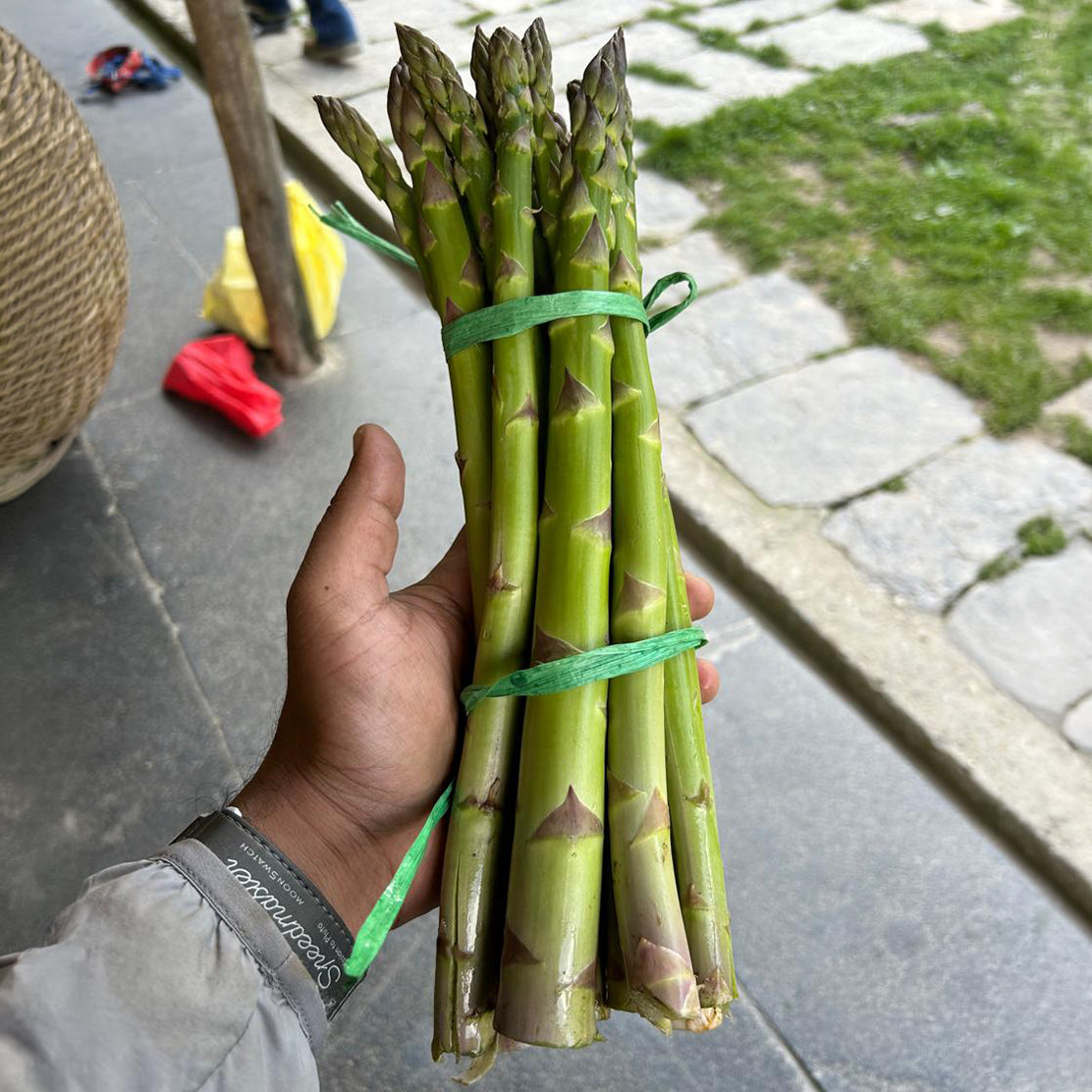 Indian Asparagus (Jumbo)