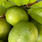 Mango (Langra)