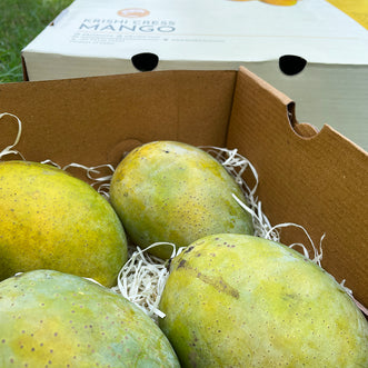 Mango (Langra)