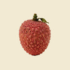 Litchi