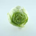 Cabbage (Chinese)