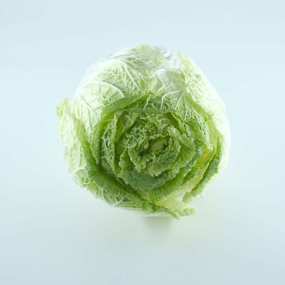 Cabbage (Chinese)