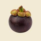 Mangosteen