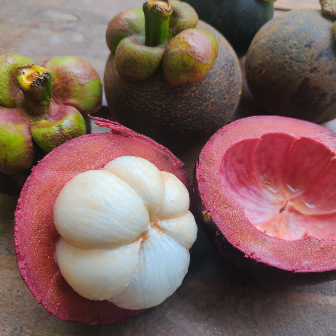 Mangosteen