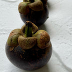 Mangosteen