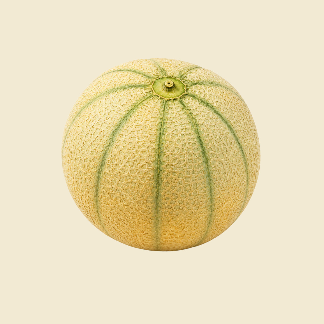 Muskmelon