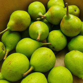 Pear (Naspati)