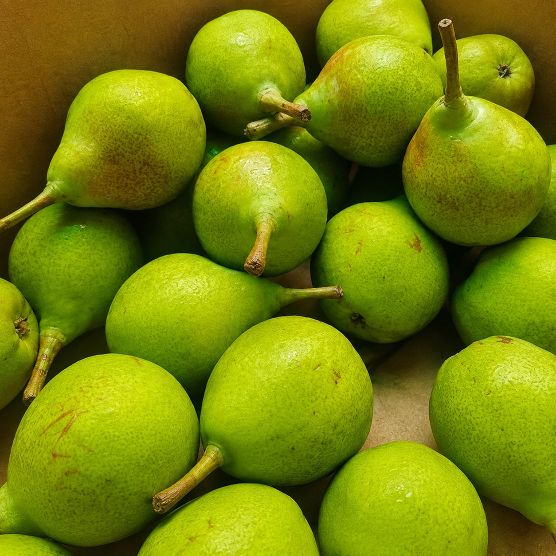 Pear (Naspati)