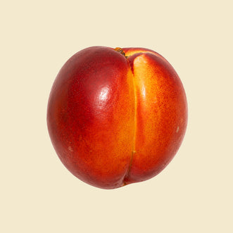 Nectarine
