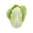 Chinese Cabbage