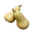 Butternut Squash