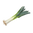 Leek