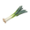 Leek