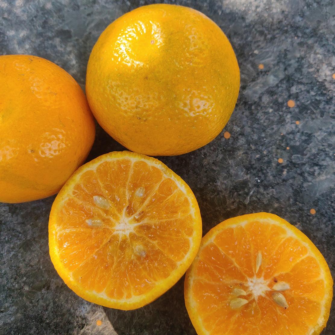 Orange (Mini)