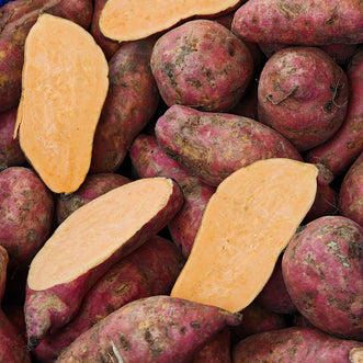 Sweet Potato (Orange)