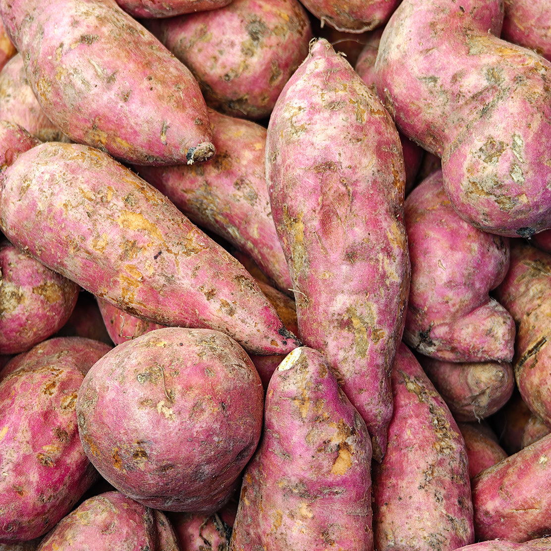 Sweet Potato (Orange)
