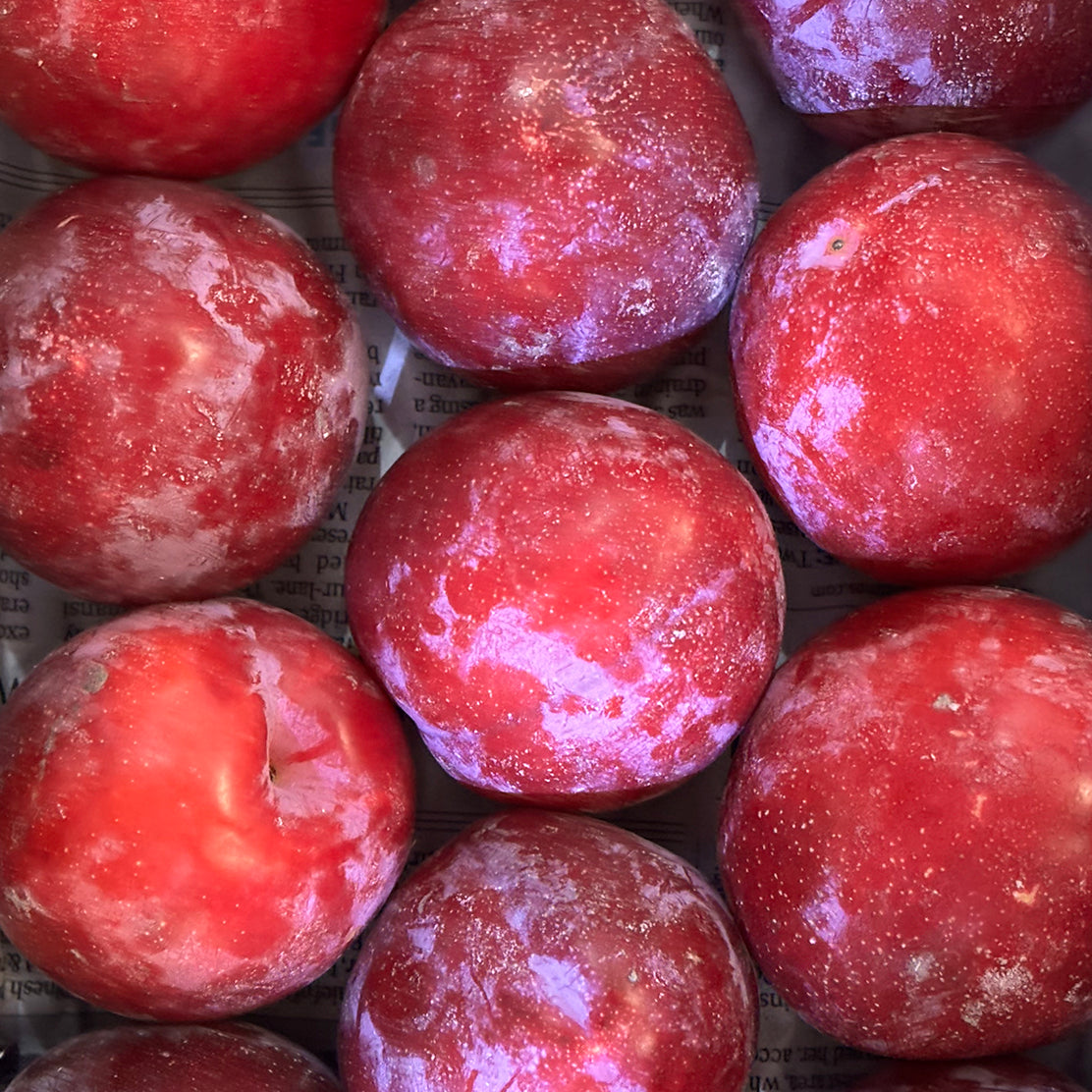 Plum