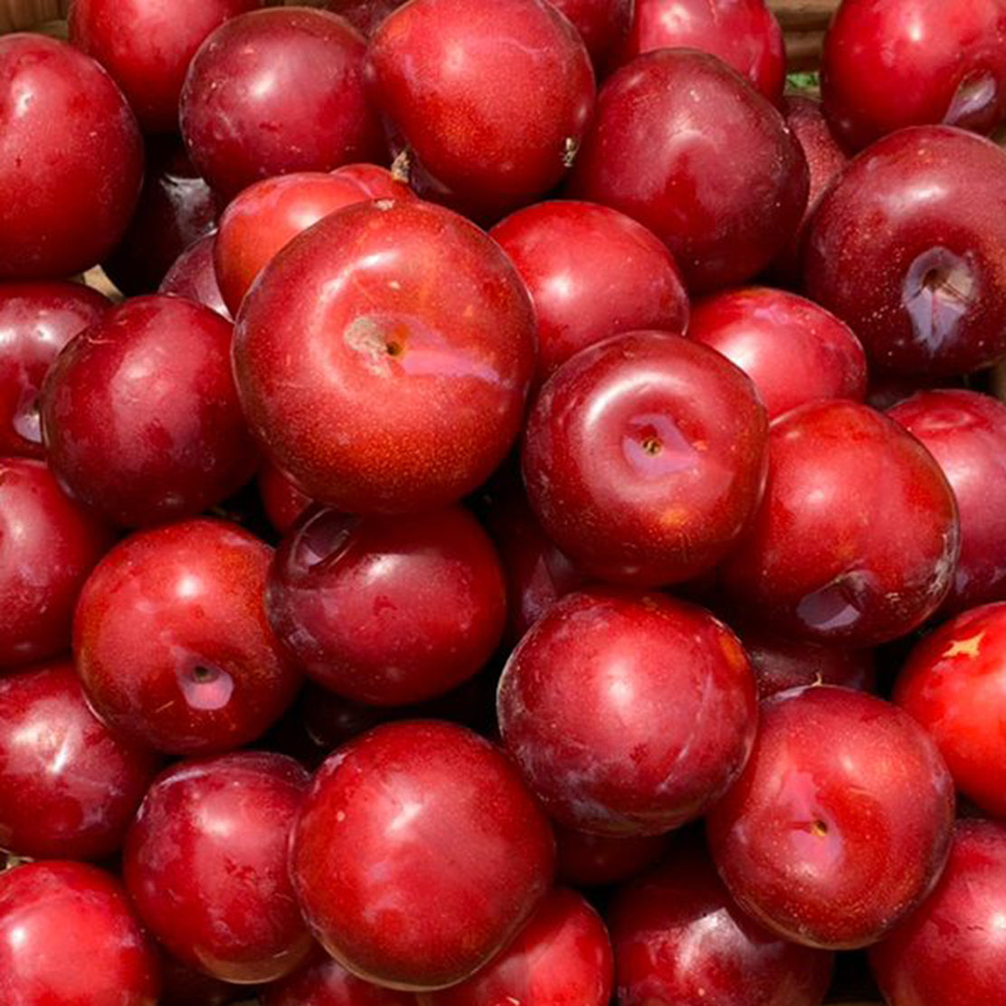 Plum