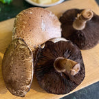Portobello Mushroom