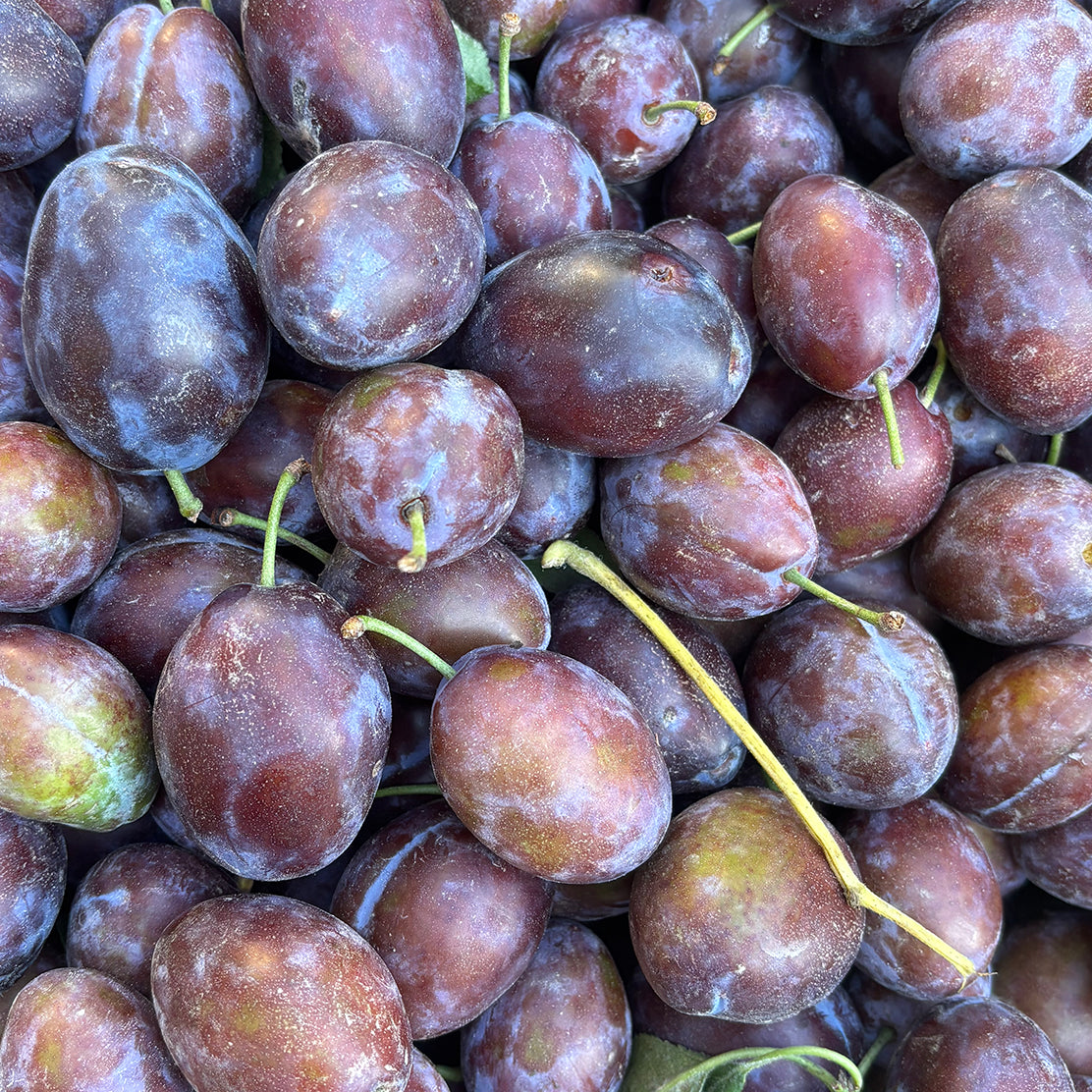 Prunes (Himachal)